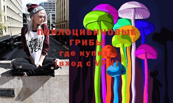 соль курить ск Горно-Алтайск