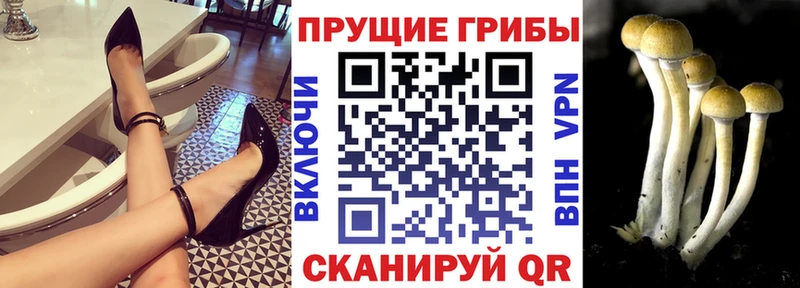Галлюциногенные грибы GOLDEN TEACHER  Купить  Бирюсинск 